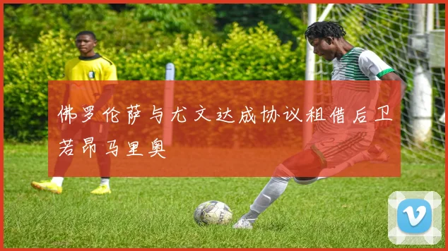 佛罗伦萨与尤文达成协议租借后卫若昂马里奥